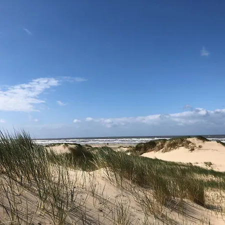 別荘 Eco Duin- Unieke Locatie -strand, Duin En Nabij Cultuursteden
