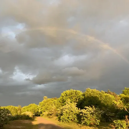 Eco Duin- Unieke Locatie -strand, Duin En Nabij Cultuursteden * Castricum