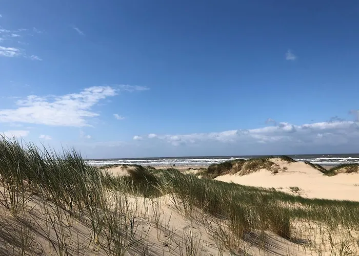 Holiday home Eco Duin- Unieke Locatie -strand, Duin En Nabij Cultuursteden