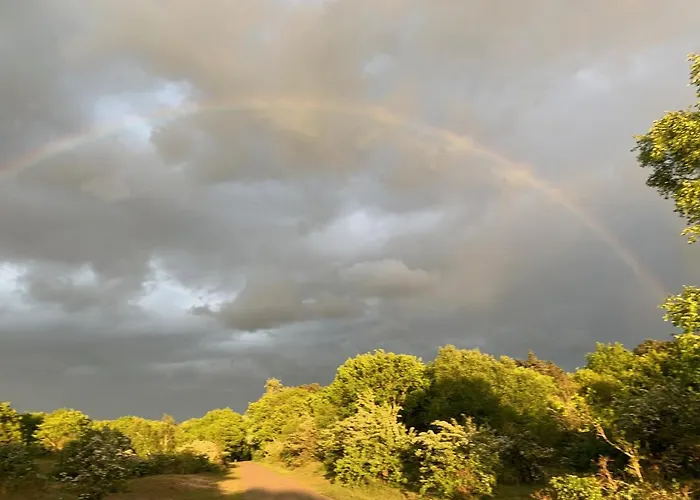 Eco Duin- Unieke Locatie -strand, Duin En Nabij Cultuursteden * Castricum