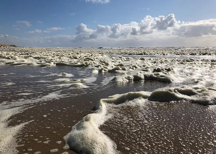Eco Duin- Unieke Locatie -strand, Duin En Nabij Cultuursteden Holiday home