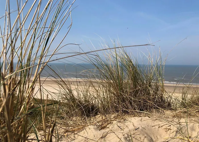 Eco Duin- Unieke Locatie -strand, Duin En Nabij Cultuursteden Holiday home *