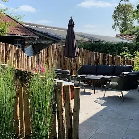 Ferienhaus Eco Duin- Unieke Locatie -strand, Duin En Nabij Cultuursteden *