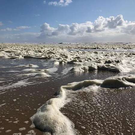 Eco Duin- Unieke Locatie -strand, Duin En Nabij Cultuursteden Ferienhaus