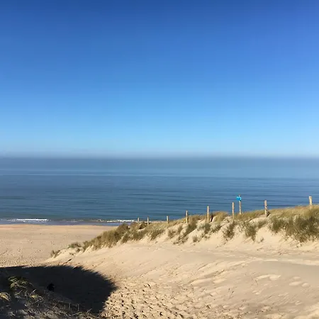 Eco Duin- Unieke Locatie -strand, Duin En Nabij Cultuursteden Ferienhaus *