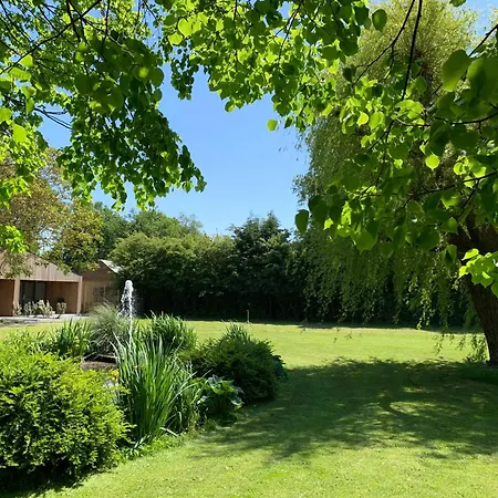 Eco Duin- Unieke Locatie -strand, Duin En Nabij Cultuursteden Ferienhaus Castricum