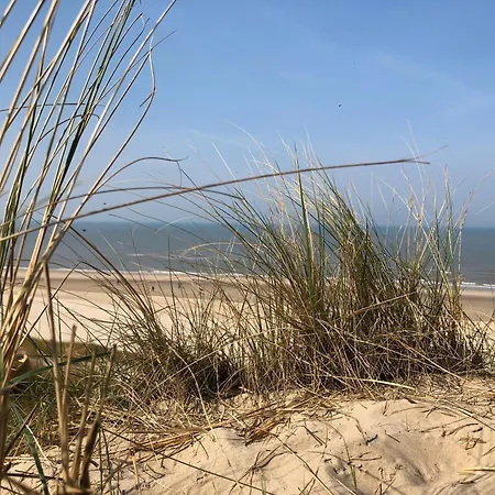 Eco Duin- Unieke Locatie -strand, Duin En Nabij Cultuursteden Ferienhaus *
