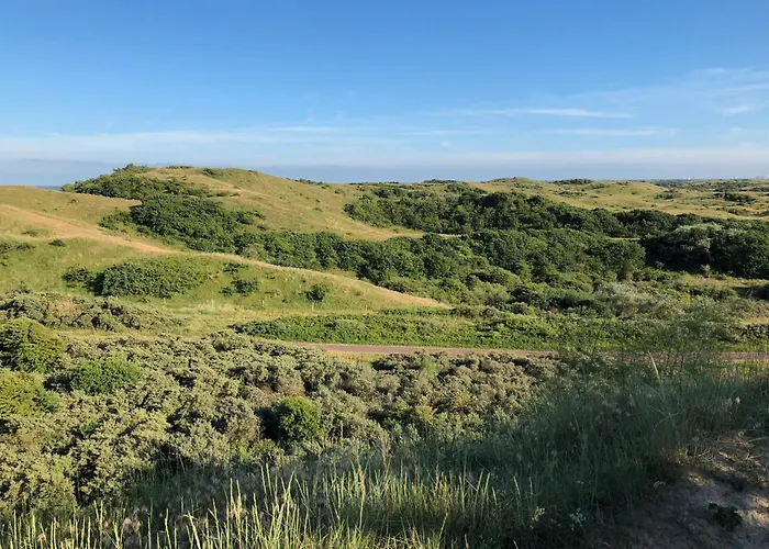 Eco Duin- Unieke Locatie -strand, Duin En Nabij Cultuursteden 度假居 *